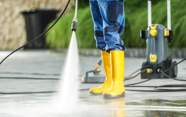 Best House Pressure Washing  in Manchester, MI