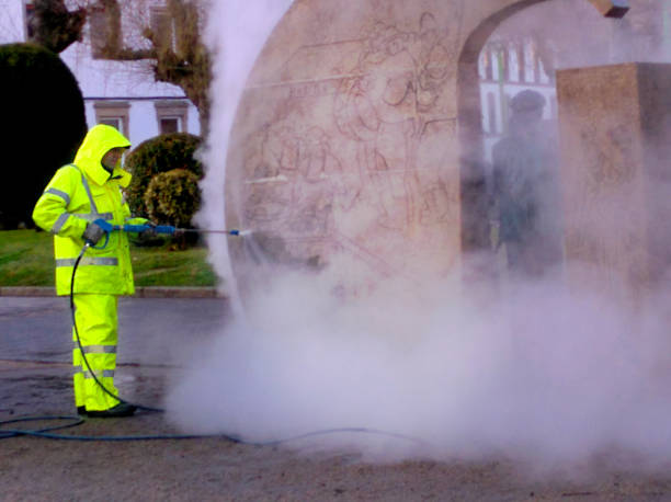 Best Residential Pressure Washing Services  in Manchester, MI