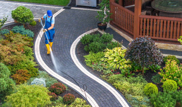 Best Power Washing Near Me  in Manchester, MI